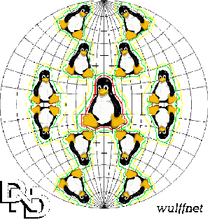 Wulffnet Logo